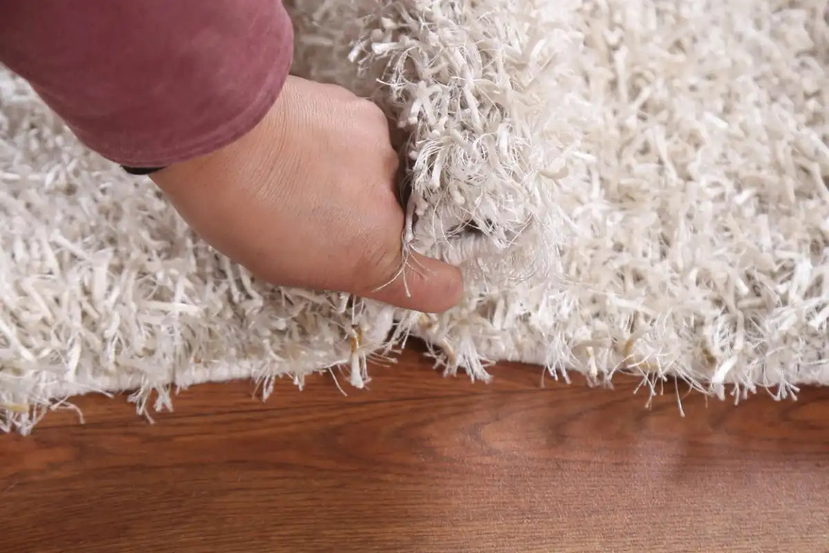 Contemporary Shaggy Oriental Rug 2x4